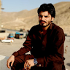 Qasimjanqasim04@gmail.com