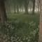 serene_xi