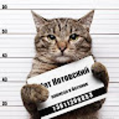 Коля Гикаленко