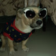 Frankie Flores Villanueva