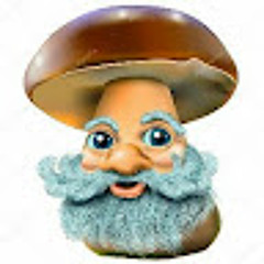 Bill Gerolimos