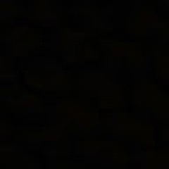 User 173157846