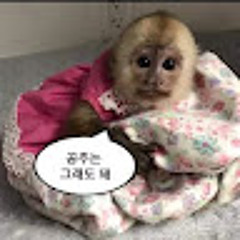 윤기영
