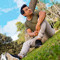 david