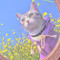 Rosemary