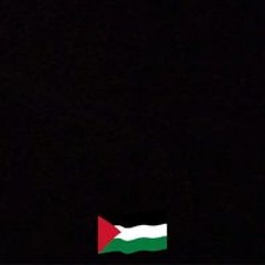 Omar A Khalafallah
