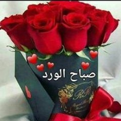 حبيب روحي