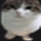 w_Trymiga