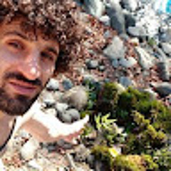 saeed.gholipoor