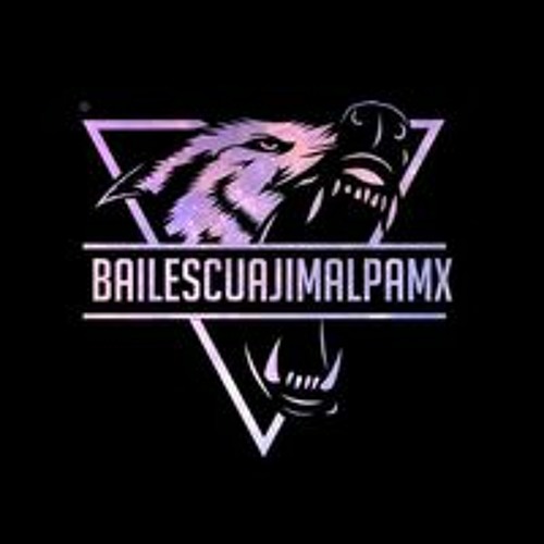 Bailes Cuajimalpa MX’s avatar