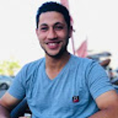 Hesham Elnagar
