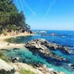 perfectt911@gmail.com