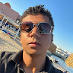 Ahmed Amer