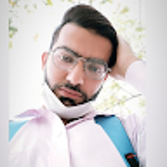 Muhammad Salman Mushtaq