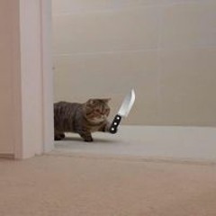 Pan Jidapa Mansrichan