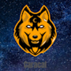 Frédéric Colpaert (Towai)