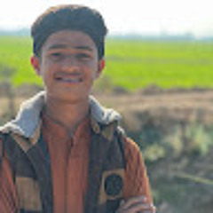 User 534204317