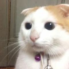 nhạc này thật dính quá