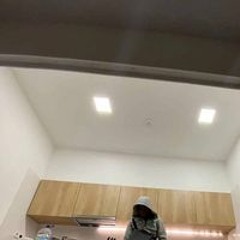 Tc_boy
