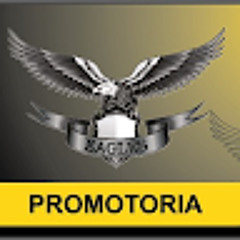 Eaglespromotoriacomercial