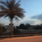Fatima Al3many