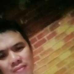 DJ bulu