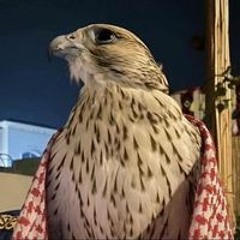 عبدالله عبدالله