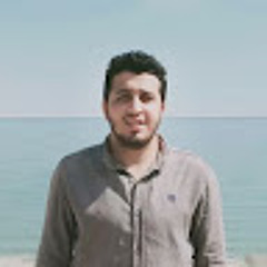 ahmed abdalaleem