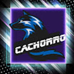 cachorro