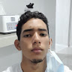 Bryan Manuel De la gamez