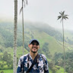 Mateo Palacio Vargas
