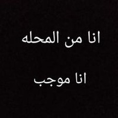 على عادل