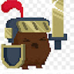 ser junkan