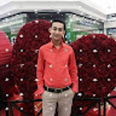 Nader Lotfy