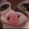 YxngNeegus420