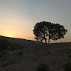 امیرحسین مرادی