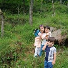 Hareem Waqas