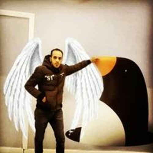 Ahmed Alnesr’s avatar