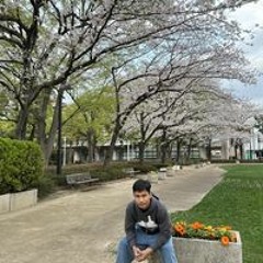 Zaw Htut