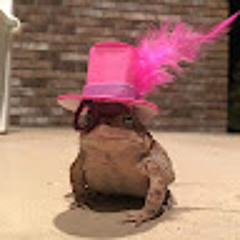 Emiliano Cruz Santiago