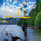 Muhammad Usman