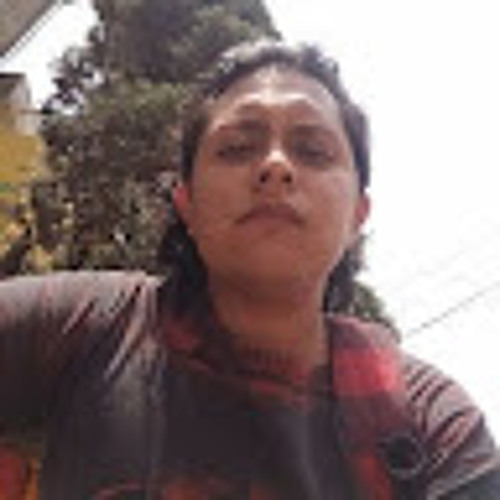 Adrian Irigoyen soto’s avatar