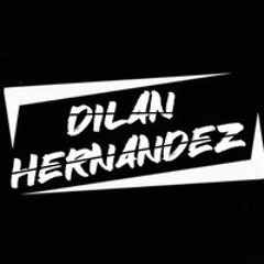 Dilan Hernandez perfil lll