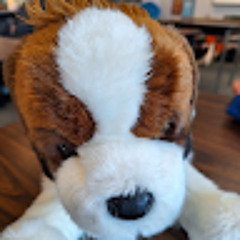 FoxyTheCloud