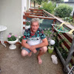 Michal Diviš