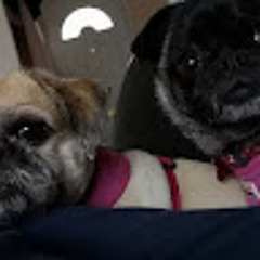 Paul Fergie Ferguson