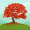 Nour Alpop