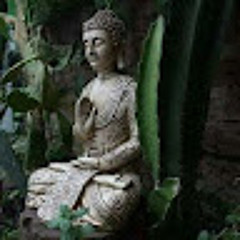 vasantha vasantha