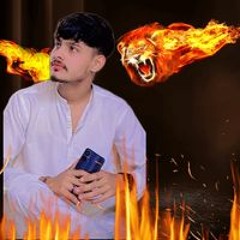 Yaseen Sheikh