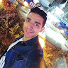 Mostafa Eskander